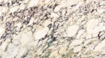Breccia Capraia