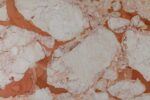 Breccia Pontificia