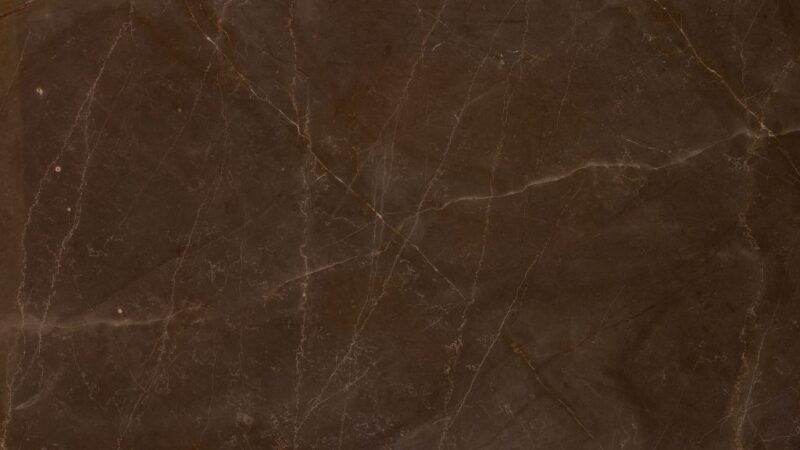 Bronze Armani
