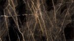 Bronzite