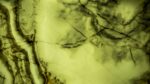 Emerald Green Onyx (Backlit)