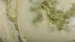 Emerald Green Onyx