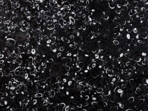 Fossil Black