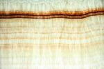 Golden wave Onyx (Backlit)