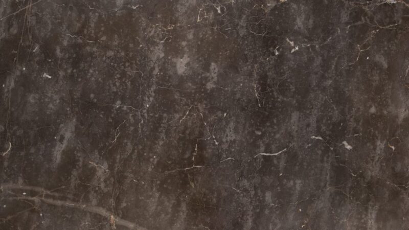 Grey Colamandina