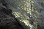 Lemurian