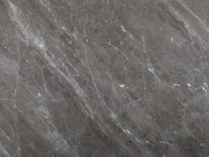 Leopard Grey Linea