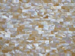 Mother Of Pearl Champagne