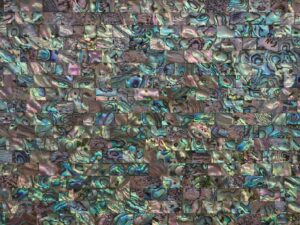 Mother Of Pearl Green Abalone
