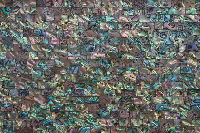 Mother Of Pearl Green Abalone