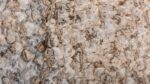 Petrified Wood Onyx