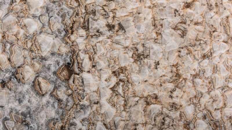 Petrified Wood Onyx