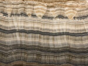 Silver Tiger Onyx