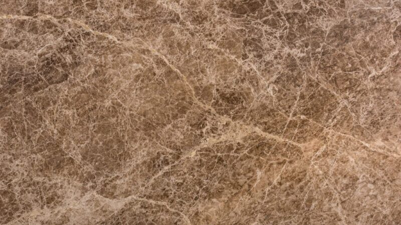 Spider Beige