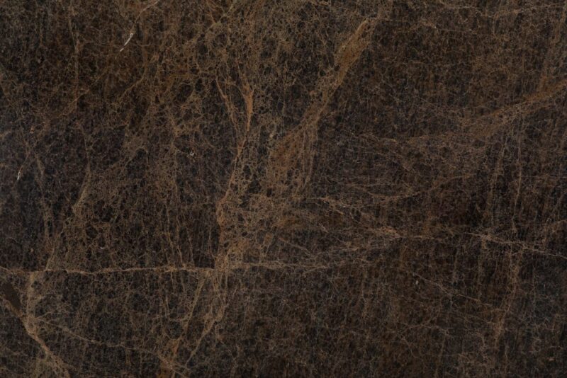 Spider Brown