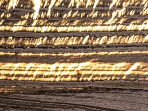 Splendor Onyx (Backlit)