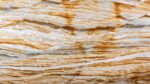 Sunshine Quartzite