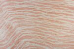 Zebra Pink